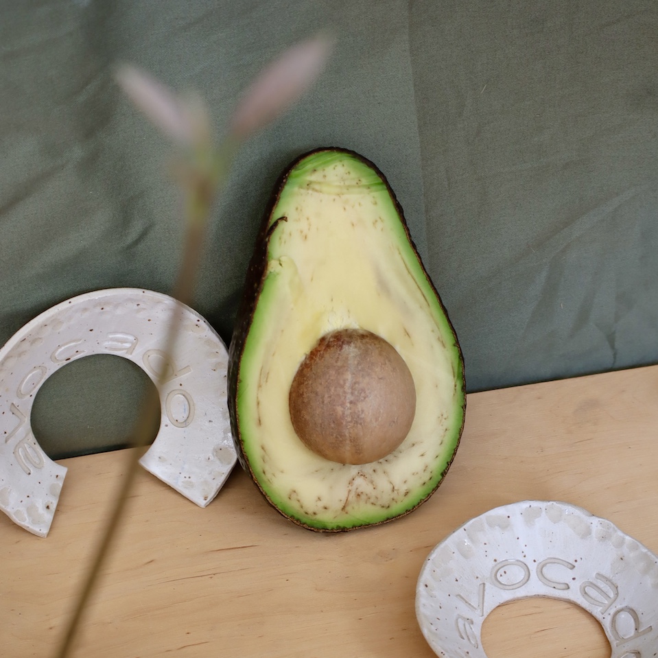 porta seme di avocado