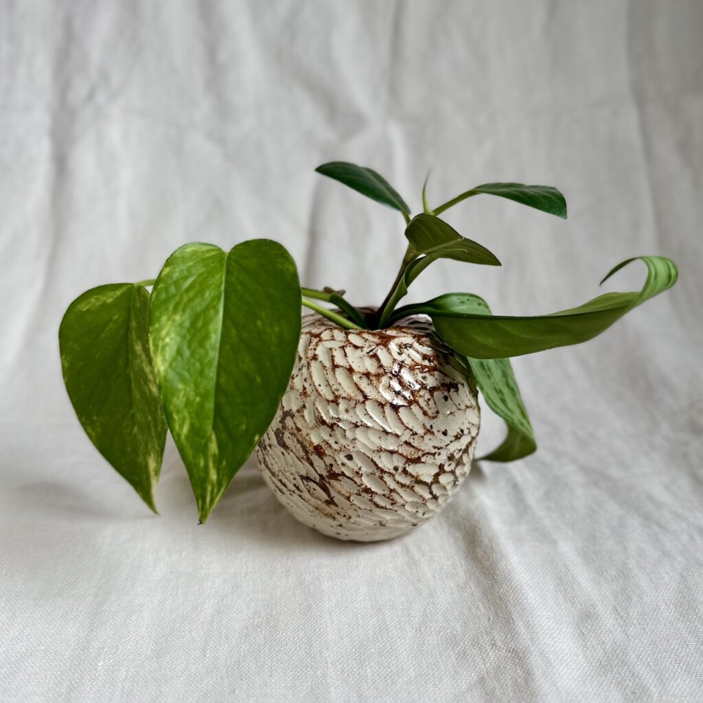 Vaso in ceramica tondo